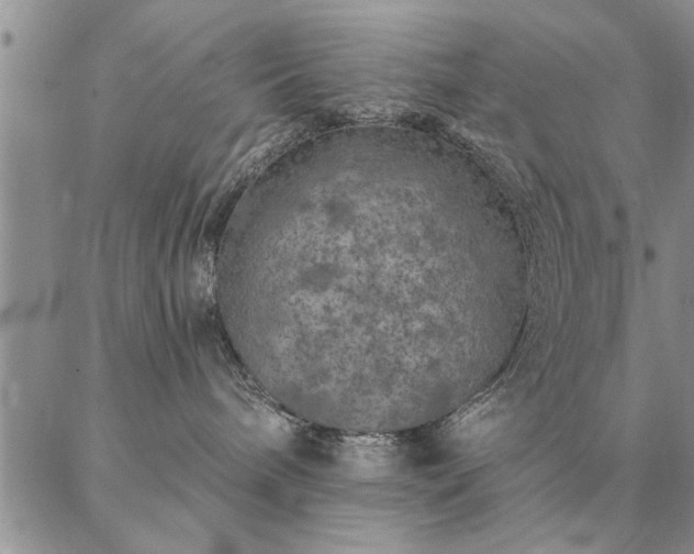 X0000087380240200704271605