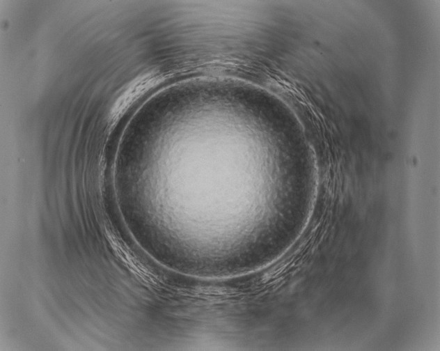 X0000087380242200704271604