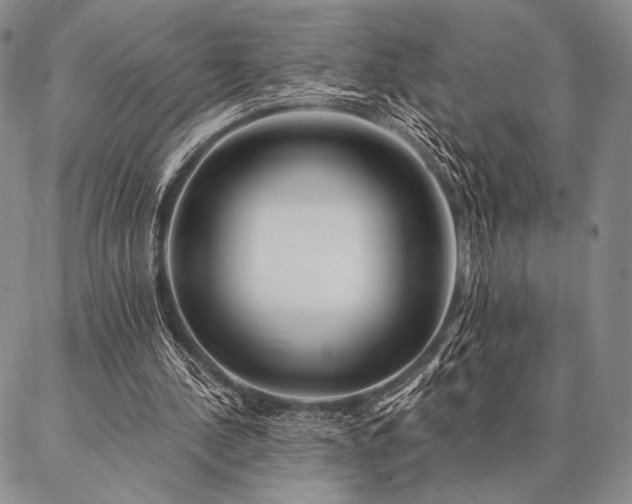 X0000087380244200704271604