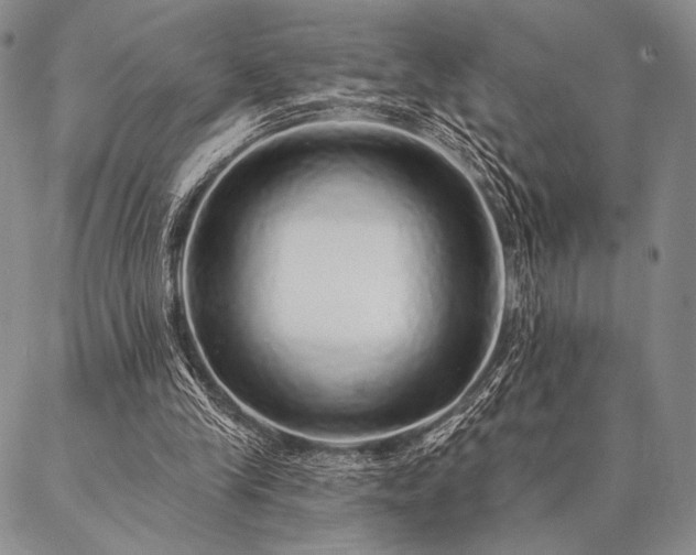 X0000087380245200704271604