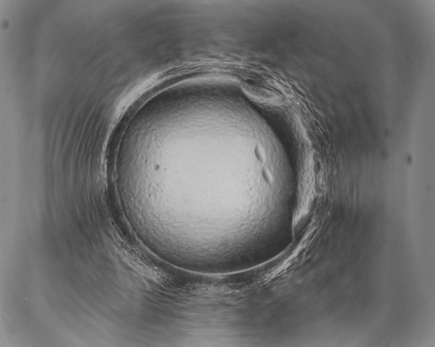 X0000087380246200704271604