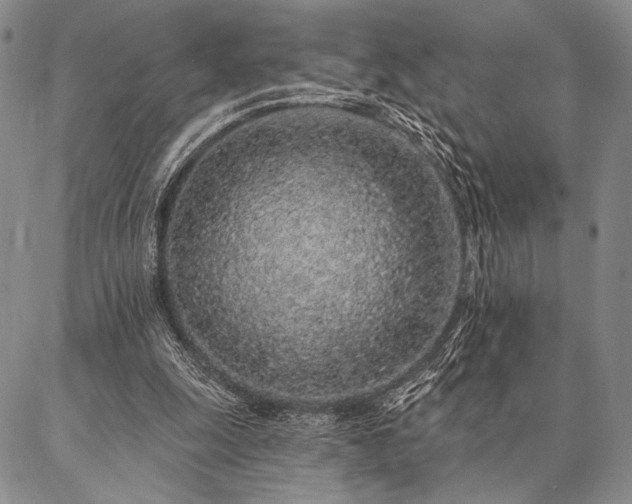 X0000087380247200704271604