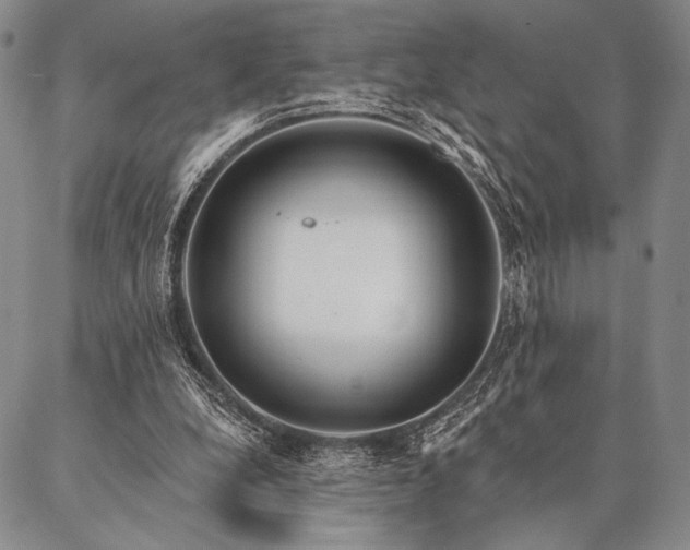 X0000087380248200704271604