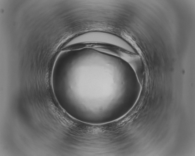 X0000087380249200704271604