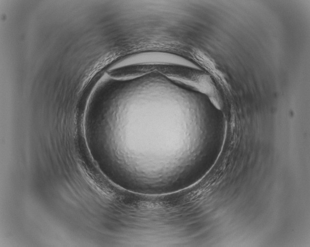 X0000087380250200704271604