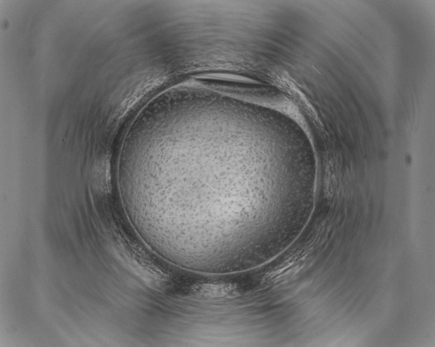 X0000087380251200704271604