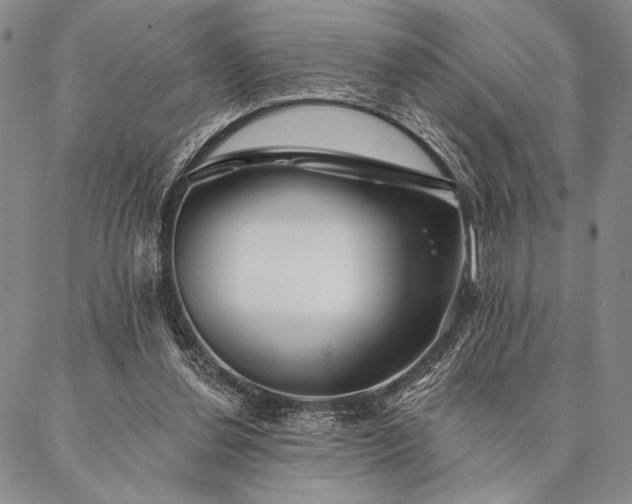 X0000087380252200704271604