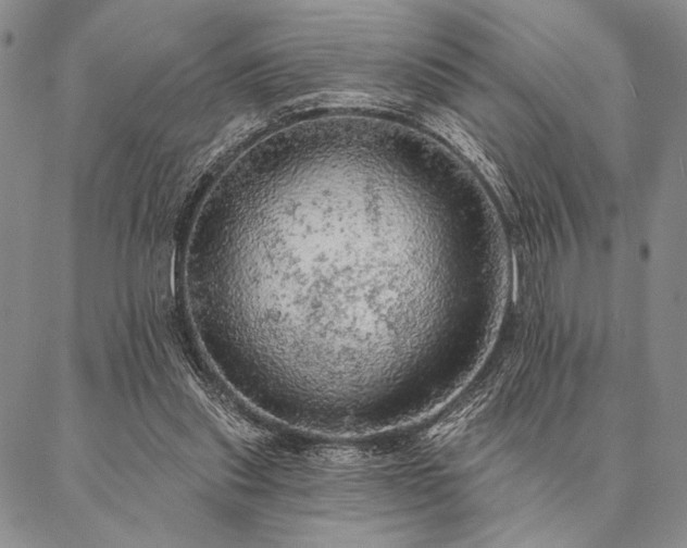 X0000087380253200704271604