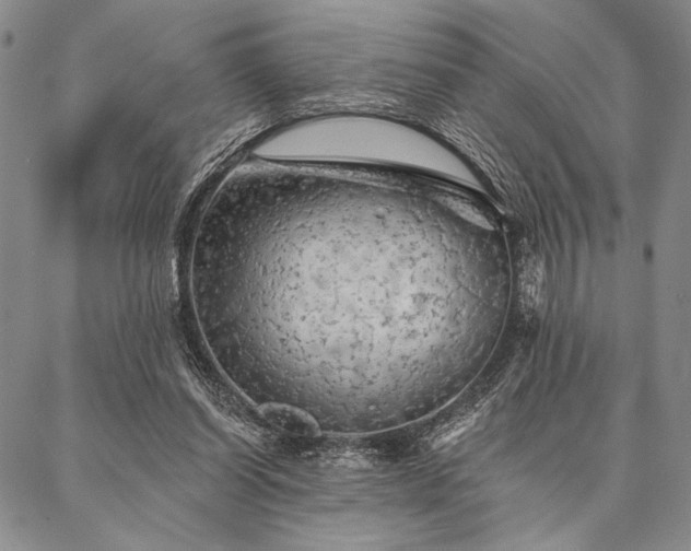 X0000087380254200704271604