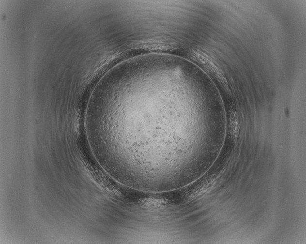 X0000087380255200704271604