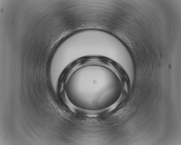 X0000087380256200704271604