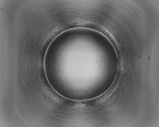 X0000087380257200704271604