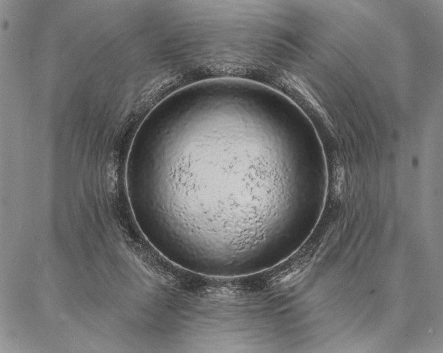 X0000087380259200704271604