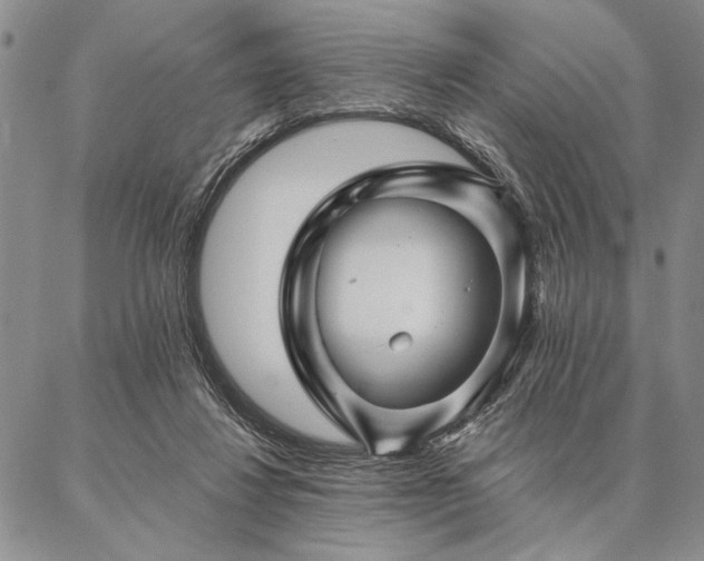 X0000087380260200704271604