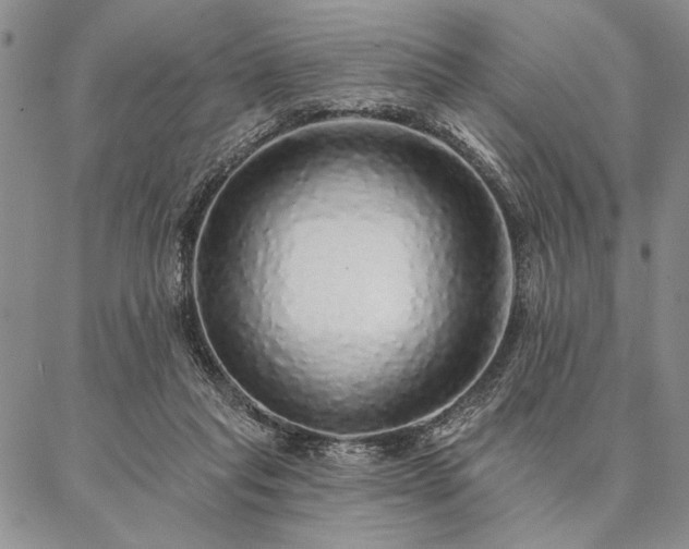 X0000087380261200704271604