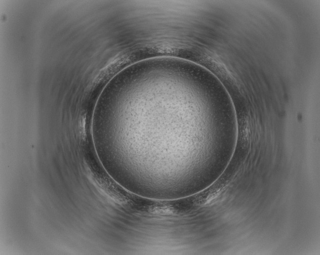 X0000087380262200704271604