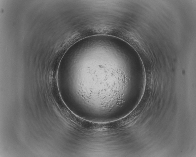 X0000087380263200704271604