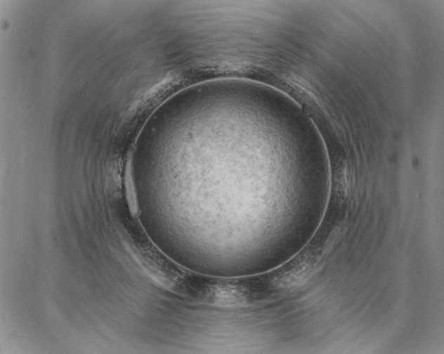 X0000087380264200704271604