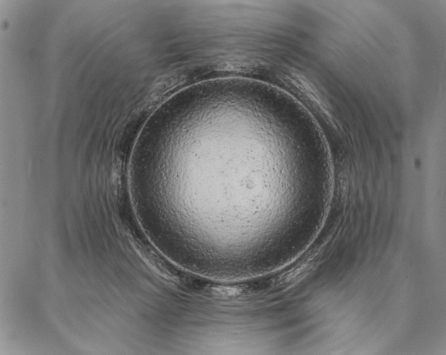 X0000087380265200704271604