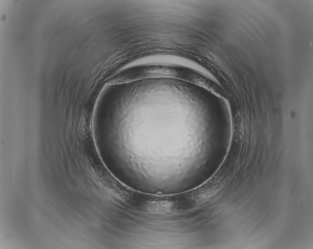 X0000087380266200704271604