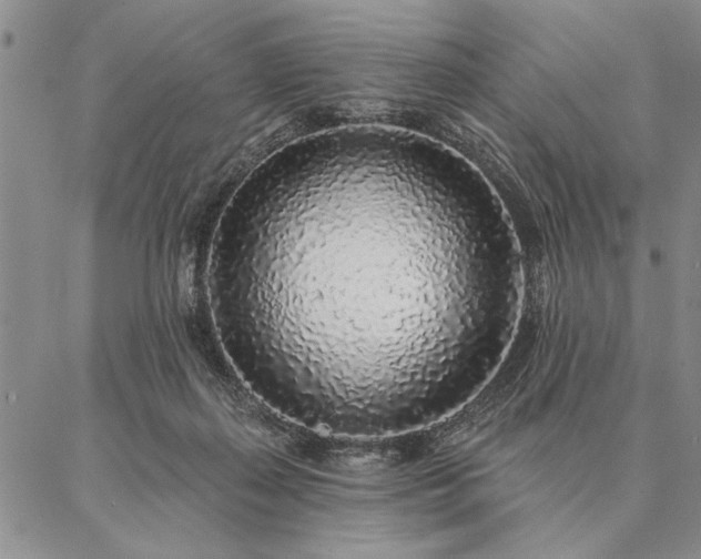 X0000087380267200704271604