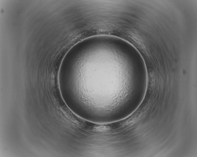 X0000087380269200704271604