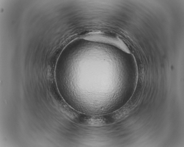 X0000087380270200704271605