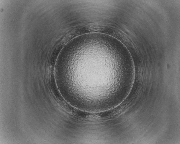 X0000087380271200704271605