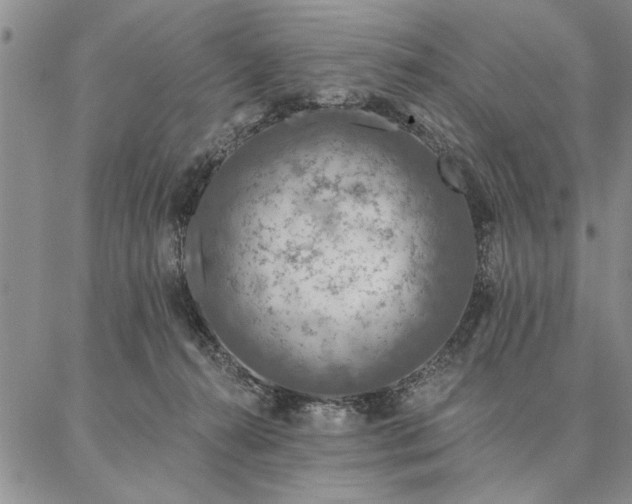 X0000087380272200704271605