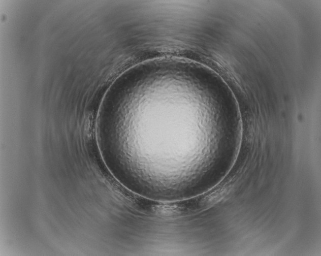 X0000087380273200704271605