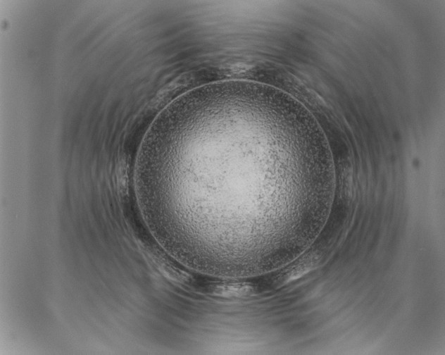 X0000087380274200704271605