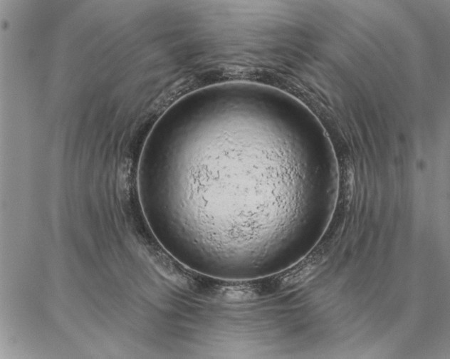 X0000087380275200704271605