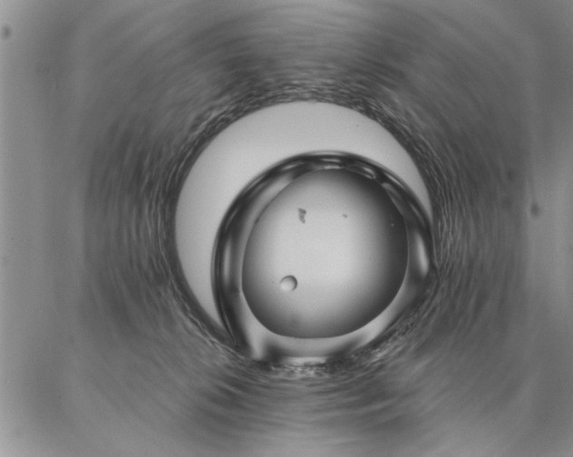 X0000087380276200704271605