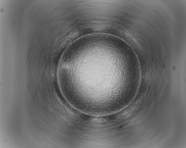 X0000087380277200704271605