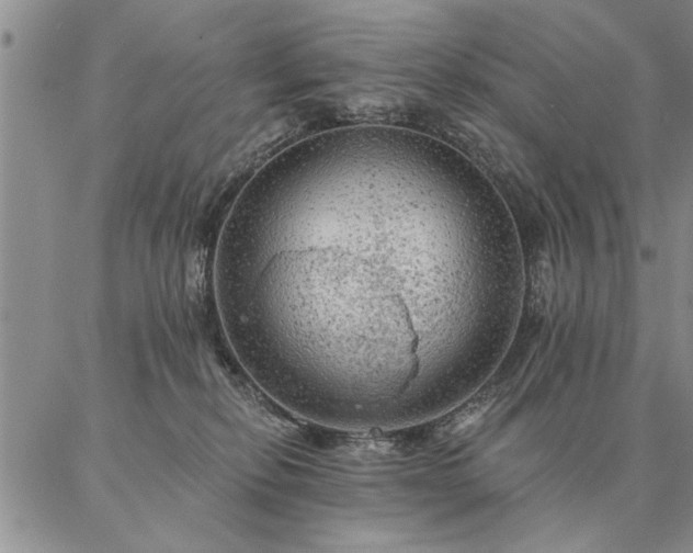 X0000087380278200704271605