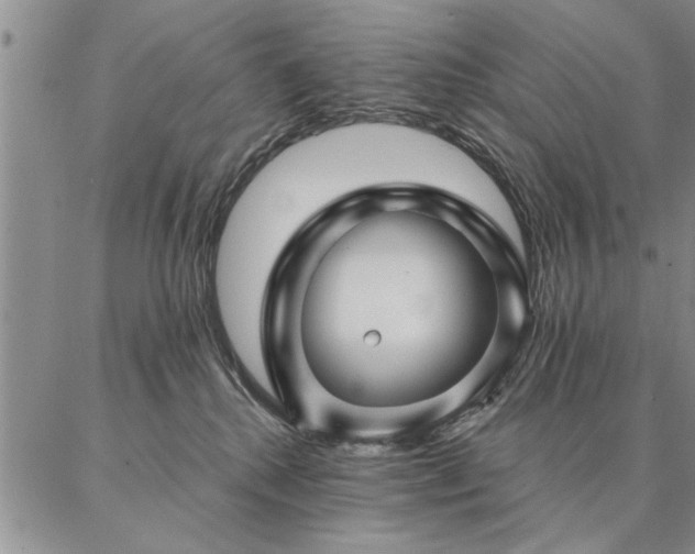 X0000087380280200704271605