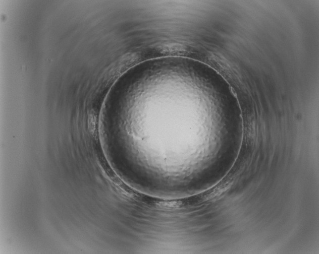 X0000087380281200704271605