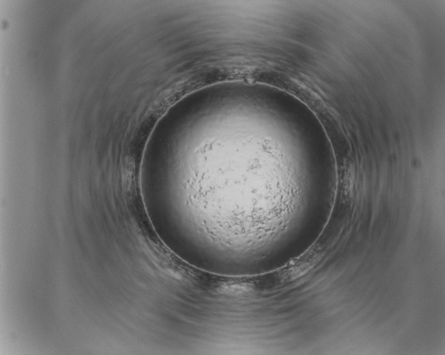 X0000087380283200704271605