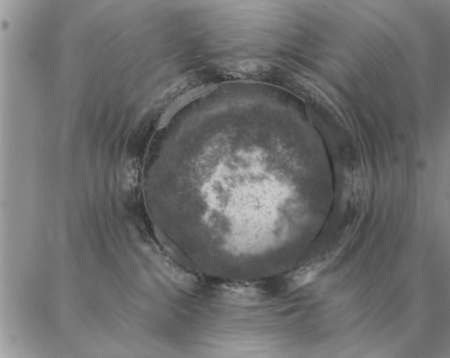 X0000087380284200704271605