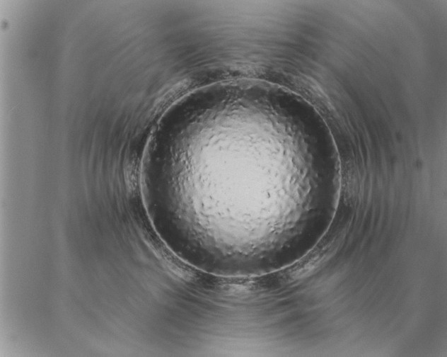 X0000087380285200704271605