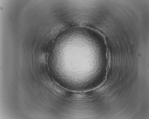 X0000087380286200704271605