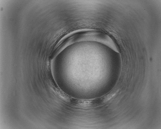 X0000087380288200704271605