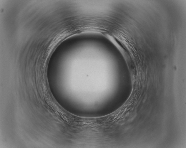 X0000087380289200704271604