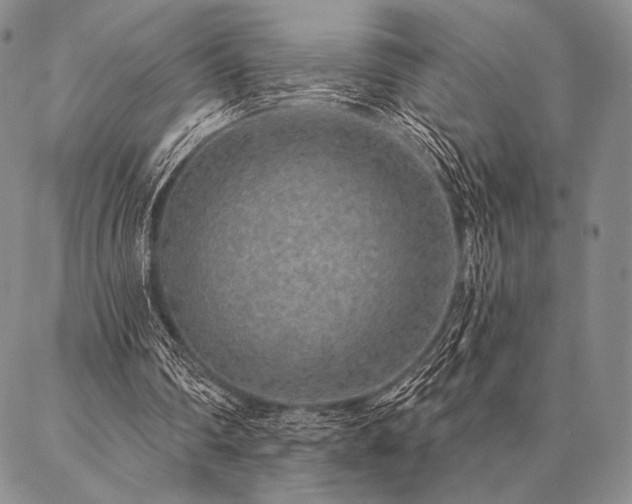 X0000087380290200704271604