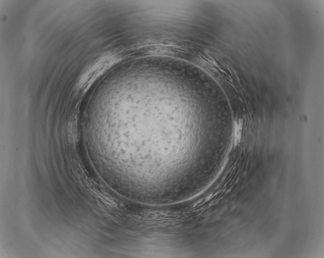 X0000087380291200704271604