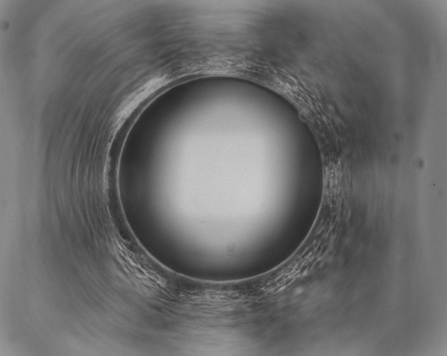 X0000087380292200704271604