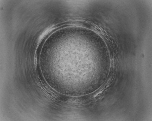 X0000087380294200704271604