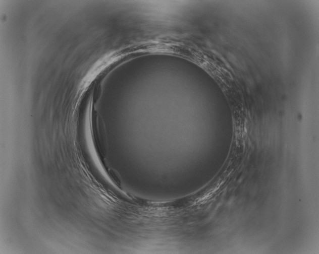 X0000087380295200704271604