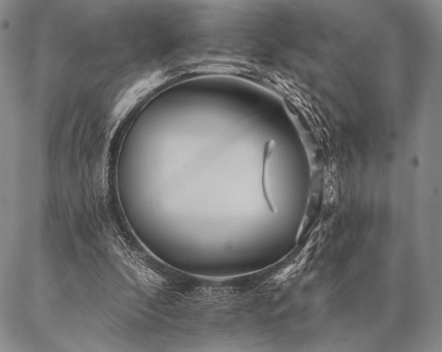 X0000087380296200704271604