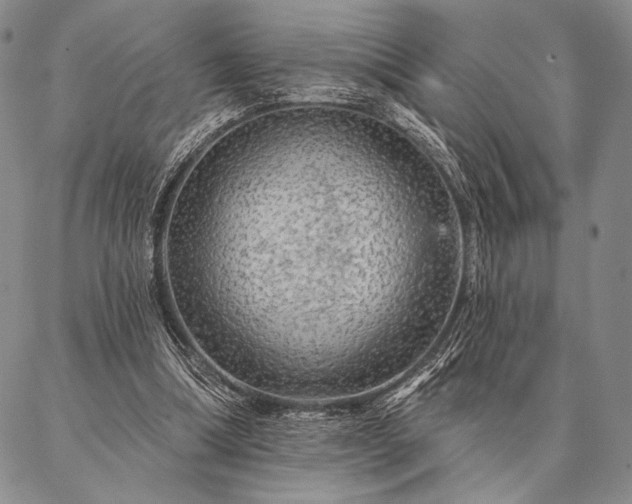 X0000087380298200704271604